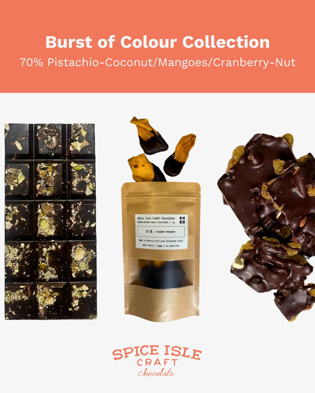 Burst of Colour Collection